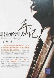 Professional Manager's Notes