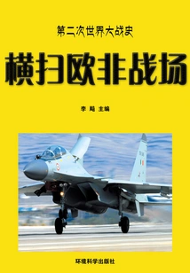 Sweeping the European and African Theaters (history of World War Ii Series)