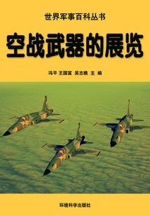 Exhibition of Air Combat Weapons (world Military Encyclopedia Series)