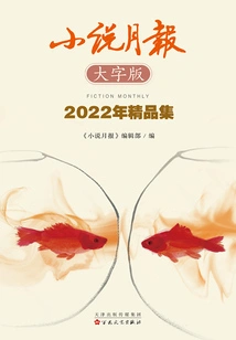 Novel Monthly Large Print Edition 2022 Highlights Collection