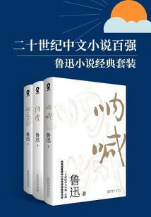 Top 100 Chinese Novels of the 20th Century: Classic Set of Lu Xun's Novels