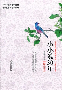 The Best of 30 Years of Short Novels: 120 of the Most Influential Short Novels in Contemporary China