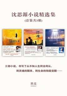 Selected Collection of Shensiyuan Novels: Return of the Kingdom of Heaven + Drifting Souls + the Bible in the Water (set of 3 Volumes in Total)