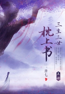 Three Lives and Three Worlds Pillow Book (volume 1)