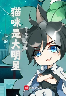 My Cat is a Big Star