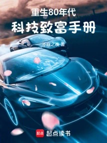 Reborn in the 1980s: a Manual for Getting Rich Through Technology