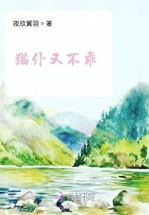 The Cat Servant is Not Good