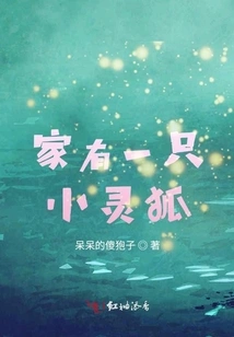 There is a Little Fox at Home