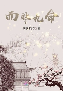 Rather Than Nine Lives