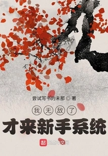 I Am Invincible, so I Came to the Novice System