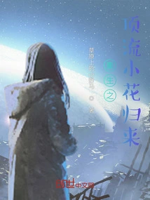 Rebirth of the Top-notch Little Flower Returns