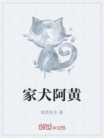 Domestic Dog Ah Huang