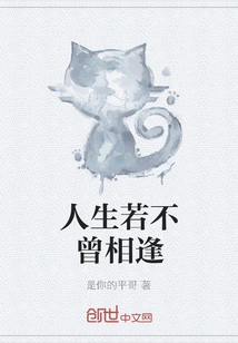 If We Have Never Met Each Other in Life