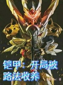 Armor: Adopted by Lufa at the Beginning