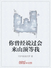 You Once Said You Would Wait for Me at the Top of the Mountain