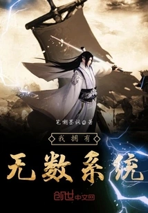 I Have Countless Systems