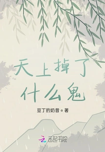 What the Hell Fell from the Sky?