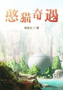 The Adventures of Silly Cat