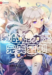 My Ability is Perfect Copy