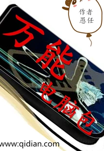 Universal Computer Bag