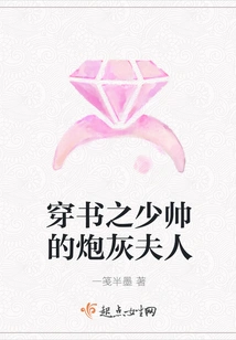 The Young Marshal's Cannon Fodder Lady in the Book of Travels