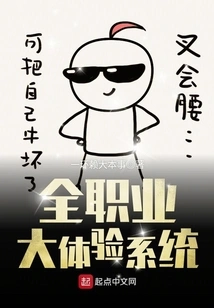 All-professional Experience System