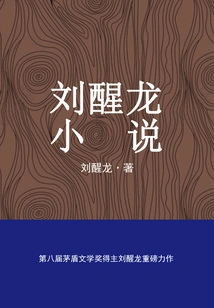 Liu Xinglong's Novels