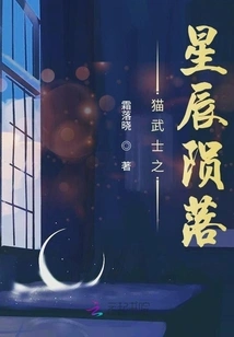 Cat Warrior Stars Fall