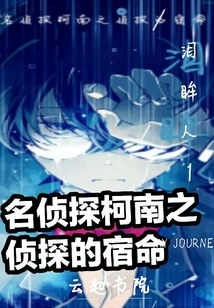 Detective Conan: Detective's Fate