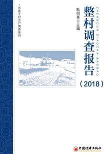 Village Survey Report (2018)