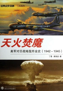Skyfire Burns Demons: the Complete History of the U. S. Army's Strategic Bombing of Japan (1942-1945)