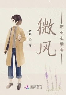 The Breeze Cannot Carry Away the Drizzle