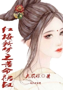 A New Dream in Red Mansions - the Misfortune Dress and Hairpin