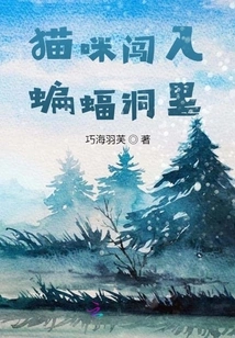 Cat Breaks into the Batcave