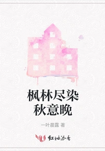 The Maple Forest is Full of Autumn Colors