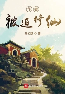 I Am the Stupid D Author