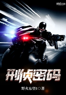 Criminal Investigation Code