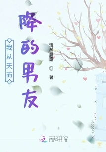 My Boyfriend Fell from the Sky