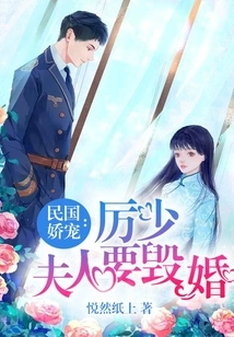 The Pampering of the Republic of China: Mr. Li, My Wife Wants to Break the Marriage