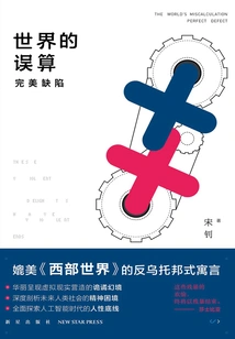 The Miscalculation of the World: Perfect Flaws