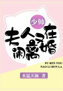 Young Marshal, My Wife is Divorcing Again!