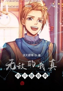 Invincible, I Really Just Want to Keep a Low Profile