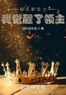 Extraordinary Profession: I Awakened the Lord