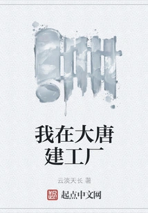 I Built a Factory in Datang