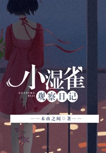 Little Wet Bird Observation Diary