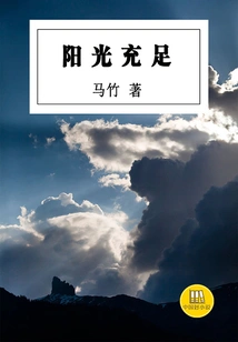 Enough Sunshine (a Good Chinese Novel)