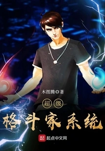 Super Fighter System