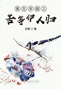 The Pain of Rebirth and Time Travel, Waiting for the Lover to Return