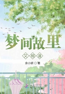 Meeting Again in My Hometown in Dreams