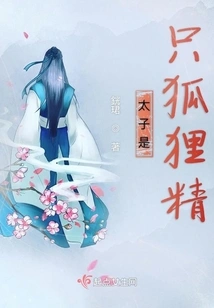 The Prince is a Vixen